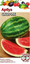 Арбуз Скорик 1гр. (Гавриш)