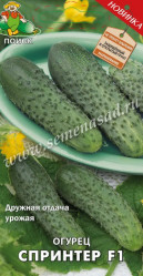Огурцы Спринтер F1 12шт. (Поиск)