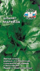 Шпинат Маркиза (Седек)