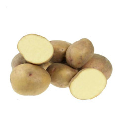 Картофель сем. Жуковский ранний (суперэлита) (2кг./уп.)