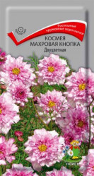 Космея Махровая Кнопка двухцветная однол. 0,1гр. (Поиск)