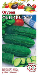Огурцы Феникс 640 0,5гр. (Гавриш)