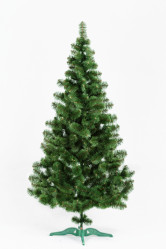 Ель Принцесса 230 иней