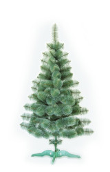 Сосна зеленая 230