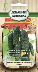 Огурцы Малыши-карандаши F1 Домашня заготовка 12шт. (Поиск)