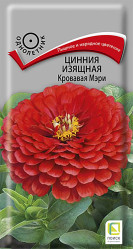 Цинния изящная Кровавая Мэри 0,4гр однол. (Поиск)
