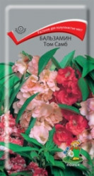 Бальзамин Том Самб однол. 0,1гр. (Поиск)