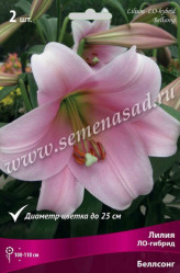 Лилия Беллсонг (ло-гибрид) 14/16 (2шт./уп.) (Солн.сад)