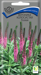 Вероника колосистая Розовая многол. 0,1гр. (Поиск)