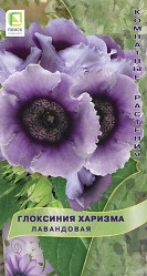 Глоксиния Харизма Лавандовая 5шт. (комн.раст.) (Поиск)