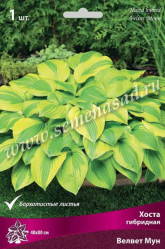 Хоста гибр. Вельвет Мун (1шт./уп.) (Солн.сад)