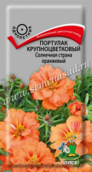 Портулак Солнечная страна Оранжевый 0,1гр. (Поиск)