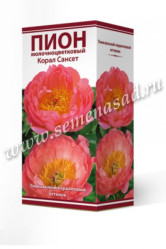 Пион гибридный Корал Сансет (1шт./уп.) (Солн.сад)