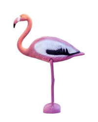 Фламинго пласт. плавающий (59х21х75см) W004