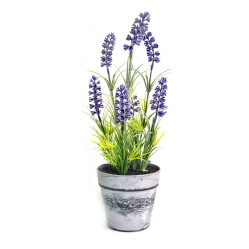 Лаванда в кашпо Н-25см (СН06103491) 16-0134
