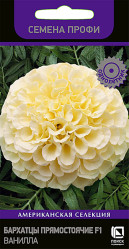 Бархатцы Ванила прямост. 10шт. (Поиск)