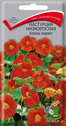 Настурция низкорослая Аляска скарлет однол. 1гр. (Поиск)
