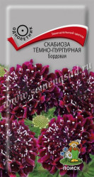 Скабиоза темно-пурпурная Бордовая однол. 0,2гр. (Поиск)