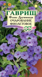 Флокс друммонда Очарование фиолетовое 0,05 гр (Гавриш)
