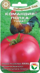 Томат Командир полка 20шт. (Сиб Сад)