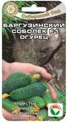 Огурцы Баргузинский соболек F1 7шт. (Сиб Сад)