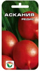 Редис Аскания 2г. (Сиб Сад)