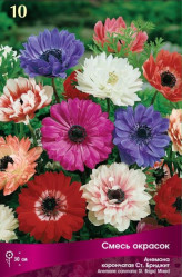 Анемона Сент Бриджид (коронч.) (смесь) 5/6 (10шт./уп.) (Солн.сад)
