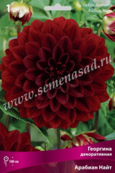 Георгина Арабиан Найт декор. (1шт./уп.) (Солн.сад)
