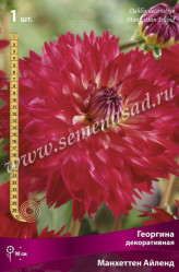 Георгина Манхеттен Айленд декор. (1шт./уп.) (Солн.сад)