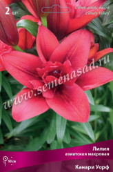 Лилия Канари Уорф азиат.12/14 (2шт./уп.) (Солн.сад)