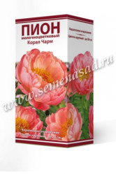 Пион гибридный Корал Чарм (Солн. сад)