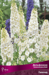Дельфиниум тихоокеанский Галахад (1шт./уп.) (Солн.сад)
