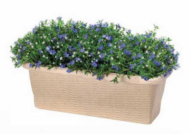 Балконный ящик PAGLIA 40см с контролем воды древесный 30645 (BAMA)