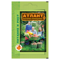 Атлант Бактерии-помощники (пак.10гр.) ВХ