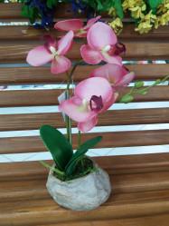 Орхидея в кашпо 3 Н33см d 10 ВК-255