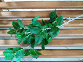 Ветка зелени Н60см ВК-239