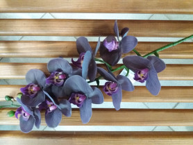 Орхидея бордо Н90см ВК-236