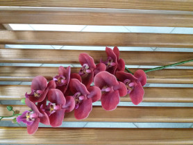 Орхидея красная Н90см ВК-234