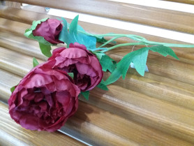 Пион бордо Н64см ВК-276