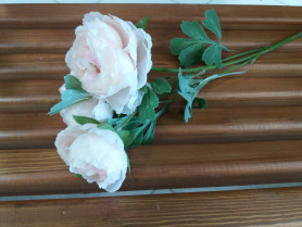 Пион крем Н64см ВК-274