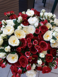 Ветка Розы пионовидной Н60см ВК-298