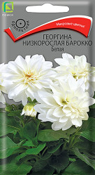 Георгина низкорослая Барокко белая однол. 0,1гр. (Поиск)