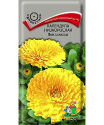 Календула низкорослая Фиеста желтая однол. 0,3гр. (Поиск)