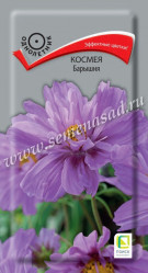 Космея Барышня однол. 0,1гр. (Поиск)
