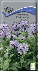 Котовник Голубая пантера 10ш (Поиск)