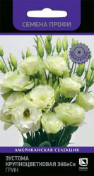 Эустома Эй Би Си Еллоу 10шт (Поиск)