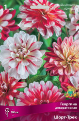 Георгина Шорт-Трек декор. (1шт./уп.) (Солн.сад)