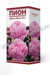 Пион молочноцветковый Месье Жюль Эли 2/3 (Солн.Сад)