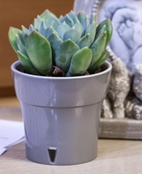 Кашпо Дали 1,2л дымчатый серый-серый