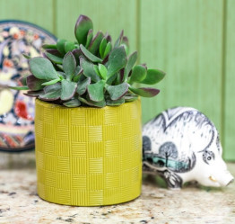 Кашпо кер. Кантри VipSet 0,66л оливка (10,8см)